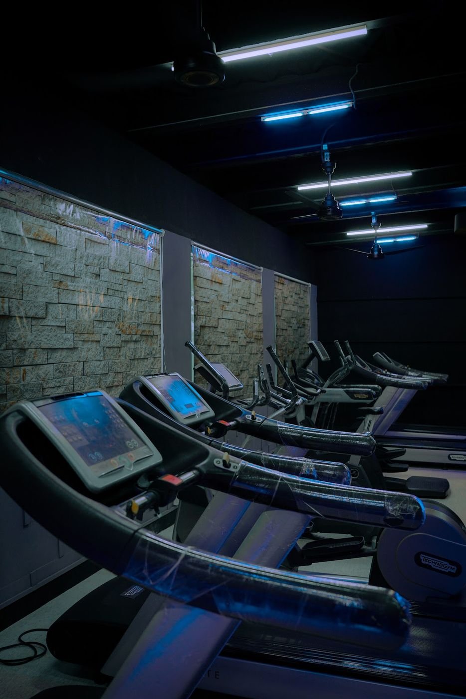 Technogym treadmills and cross-trainers along a stone wall