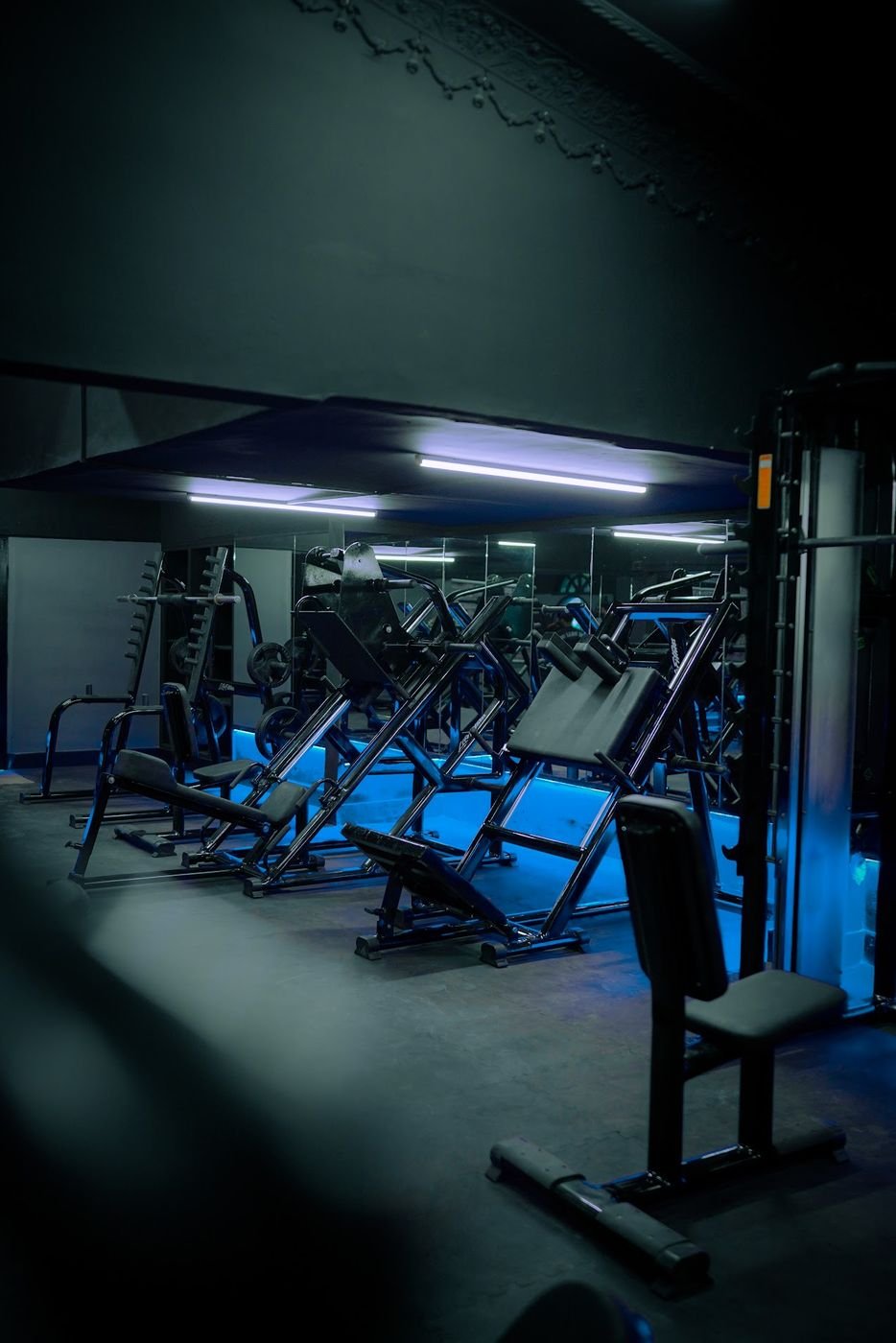 Row of plate-loaded hack squat and leg press machines under blue LED light